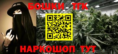 крисы Обь