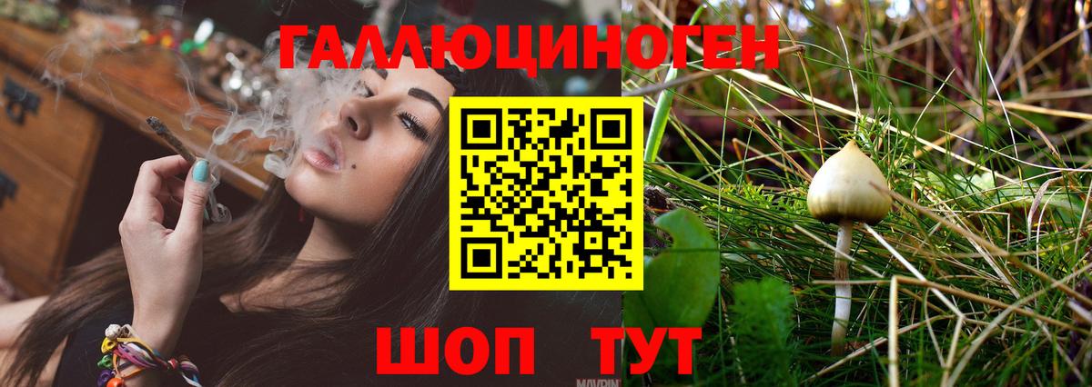 Тулун  Галлюциногенные грибы Psilocybine cubensis  Псилоцибиновые грибы мухоморы  Вход с VPN 
